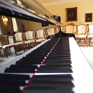 Schloss Höfling, Konzertsaal