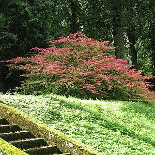 Schloss Höfling Regensburg