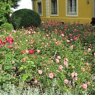 Schloss Höfling Regensburg