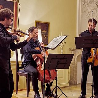 B. Wiedmann, L. Pfeiffer, J. M. Heinze